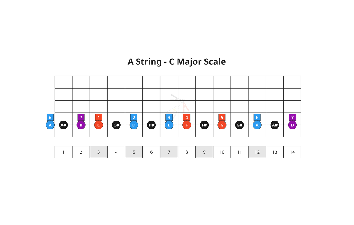 25. Bossa Nova Chords - A String