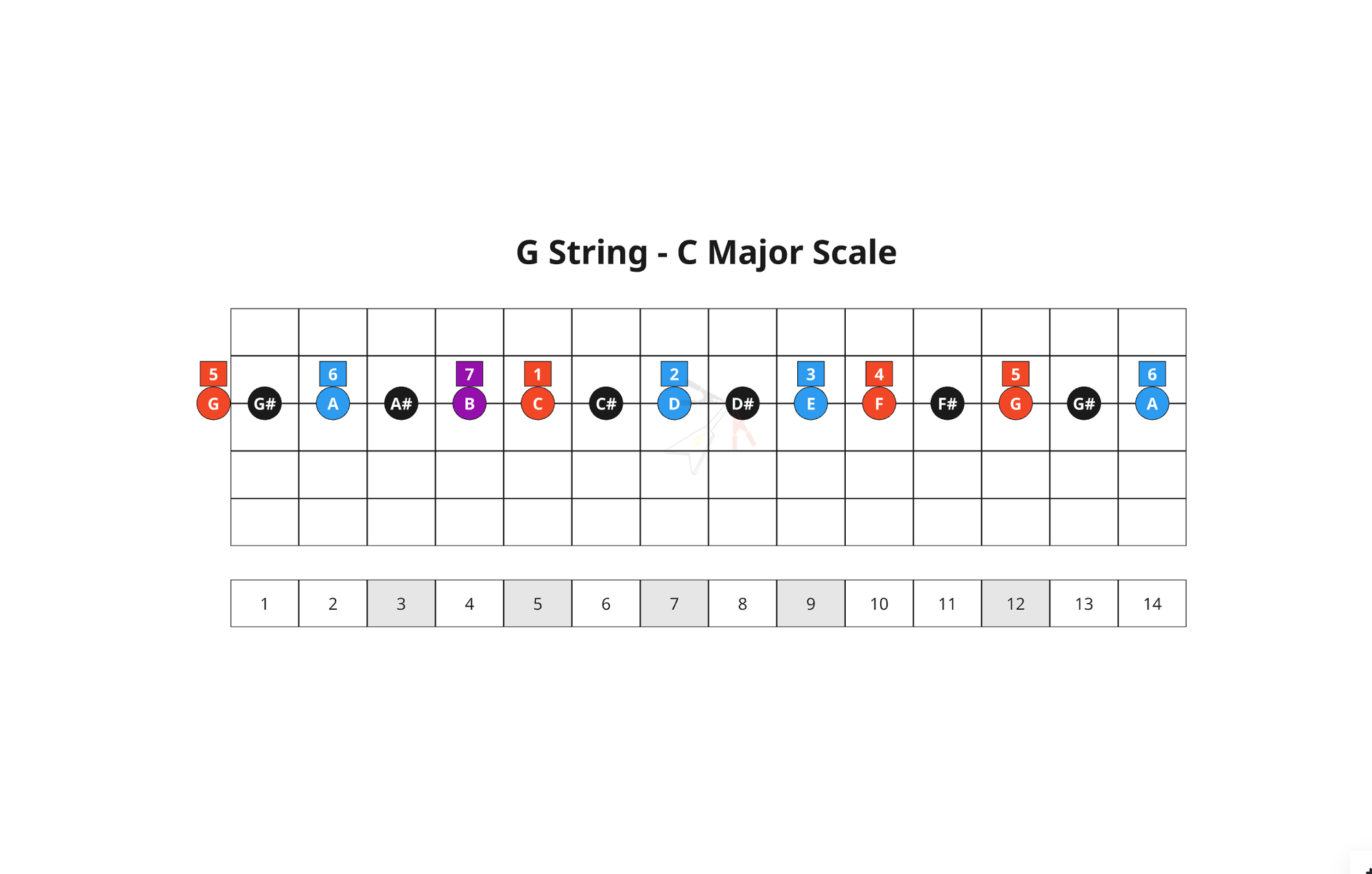 22. Bossa Nova Chords - G String
