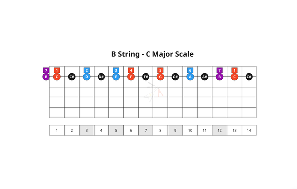 23. Bossa Nova Chords - B String