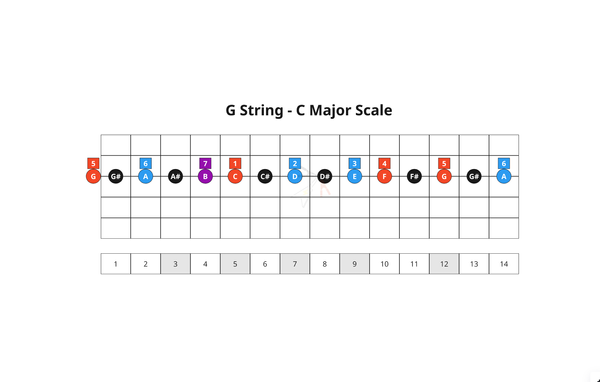 22. Bossa Nova Chords - G String
