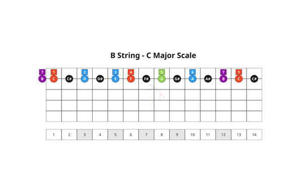 17. Key 7th Chords - B String