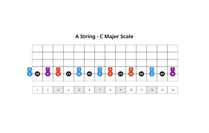 11. The 7 Diatonic Chords - A String