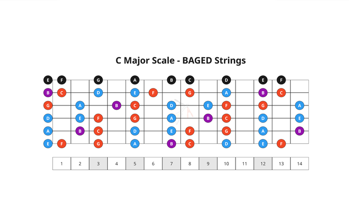 29. Bossa Nova Chords - CAGED System